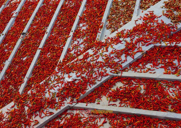 Kimchi spice drying in the street, North Hwanghae Province, Kaesong, North Korea