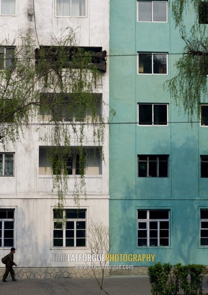 North Korean man passing in front of buildings, Pyongan Province, Pyongyang, North Korea