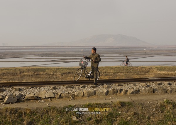 North Korean man in a field with a bicycle, South Pyongan Province, Nampo, North Korea