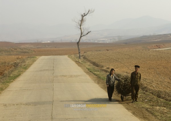 North Korean couple pushing a cart loaded with wood in the countryside, South Pyongan Province, Nampo, North Korea