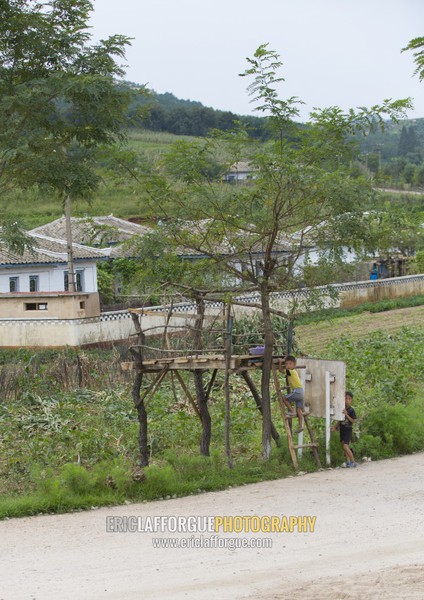 North Korean children in a little shelter to monitor the fields in the countryside, North Hwanghae Province, Kaesong, North Korea