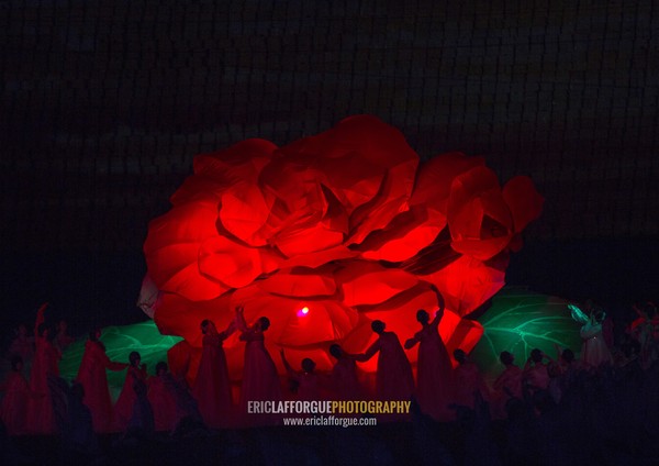 North Korean women dancing in front of a giant Kimilsungia flower during the Arirang mass games in may day stadium, Pyongan Province, Pyongyang, North Korea