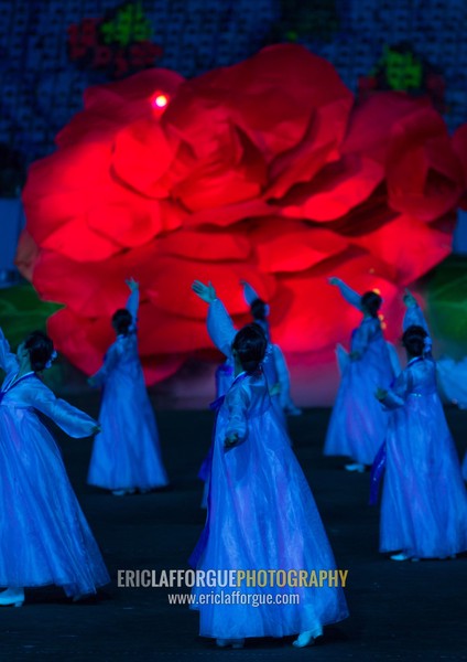 North Korean women dancing in choson-ot in front of a giant Kimilsungia fower during the Arirang mass games in may day stadium, Pyongan Province, Pyongyang, North Korea