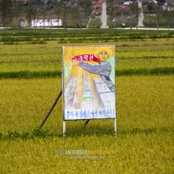 Propaganda billboard in a rice field depicting a farmer, South Hamgyong Province, Hamhung, North Korea