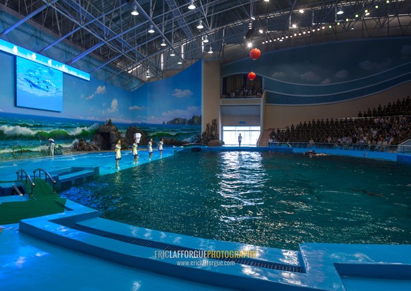 Dolphin show in Rungna dolphinarium, Pyongan Province, Pyongyang, North Korea