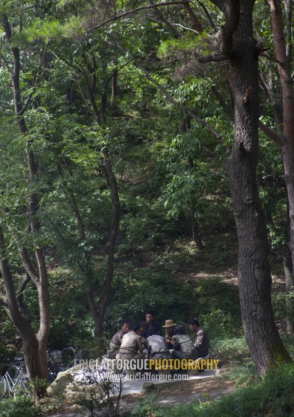 North Korean people enjoying a picnic in a park on a sunday, Pyongan Province, Pyongyang, North Korea