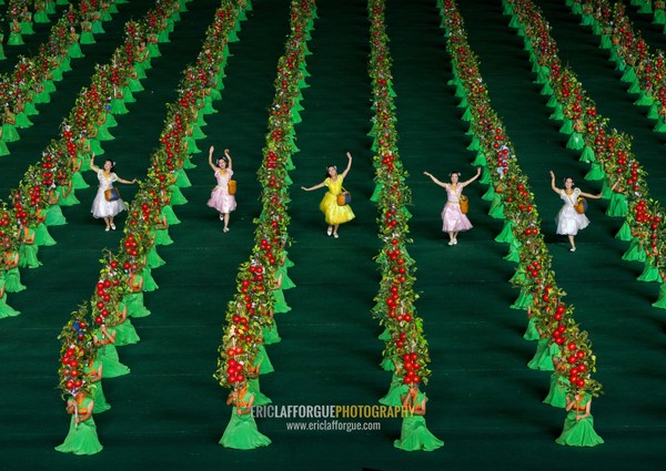 North Korean women dancing between apples during the Arirang mass games in may day stadium, Pyongan Province, Pyongyang, North Korea