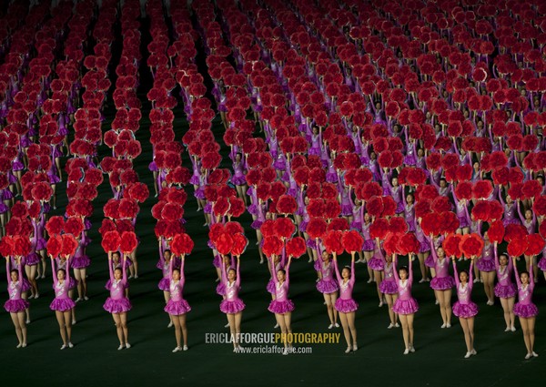 North Korean gymnasts holiding red flowers during Arirang mass games in may day stadium, Pyongan Province, Pyongyang, North Korea